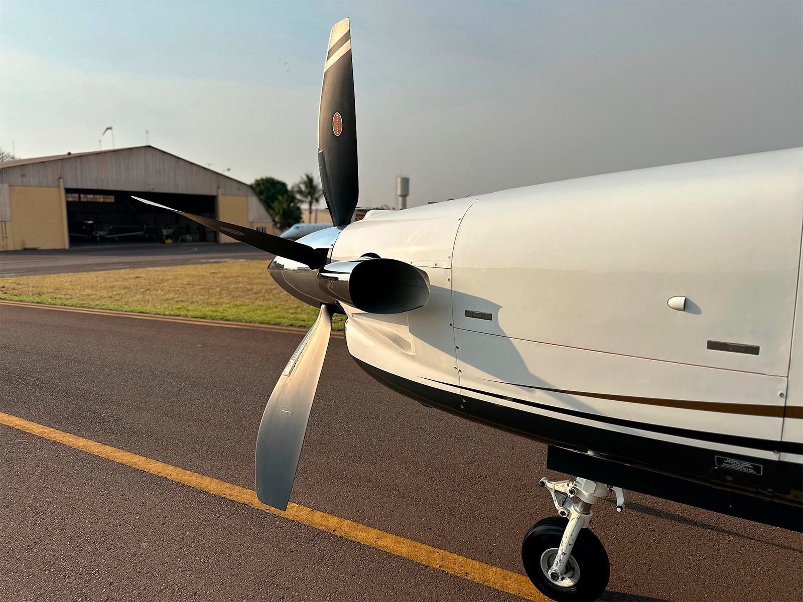 TBM 850 Ano 2014 - Imagem 10